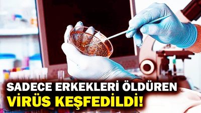 Dünya yakın bir tarihte korona virüsü tam atlattı derken şimdi