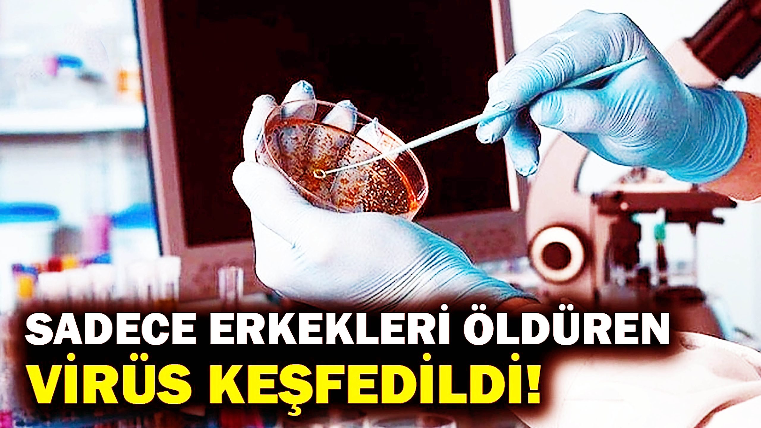 Dünya yakın bir tarihte korona virüsü tam atlattı derken şimdi