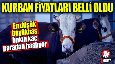 Kurban Bayramı’na az bir süre kala, Kahramanmaraş’ta 2024 yılı kurbanlık