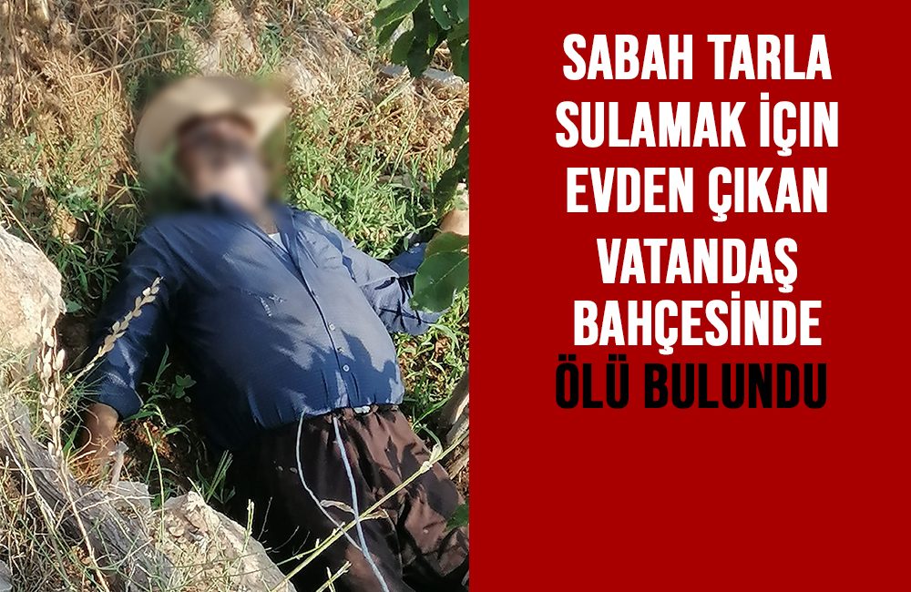 Kahramanmaraş’ın Onikişubat İlçesi Sadıklı Mahallesi'nde, sabah bahçeyi sulamak için evden