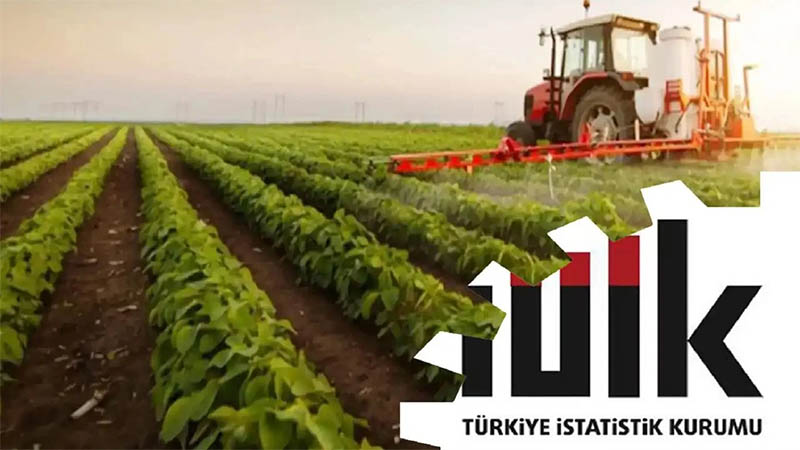 Türkiye İstatistik Kurumu, Tarım Ürünleri Üretici Fiyat Endeksi'nin Ekim 2025