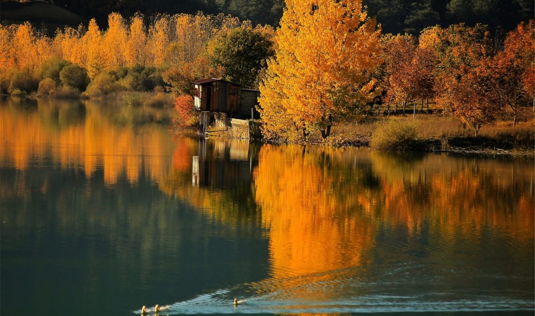 Kahramanmaraş’ta Sonbahar: KAMFOD’un Objektifinde Bir Renk Şöleni Kahramanmaraş’ta sonbahar, adeta doğanın bir sanat tablosuna dönüştüğü bir mevsim