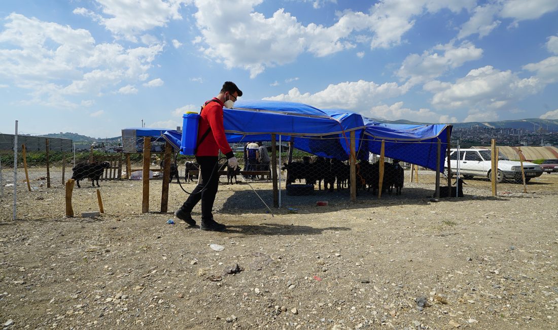 Büyükşehir’den Bayram Mesaisi; Temizlik ve İlaçlama Aralıksız Sürüyor Büyükşehir Belediyesi, Kurban Bayramı süresince çevre temizliği, hayvansal atıkların toplanması,