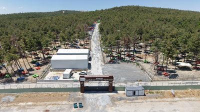 Büyükşehir Belediyesi, Sahipsiz Hayvanları Koruma Birliği iş birliğiyle can dostların